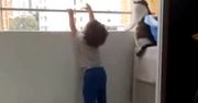 Kot zatrzymał dziecko przed wejściem na balustradę. Nagranie podbija sieć