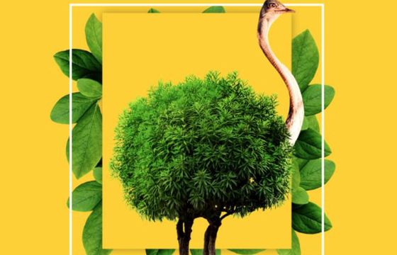 Onet rusza z Narodowym Testem Ekologicznym Polaków