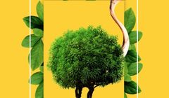 Onet rusza z Narodowym Testem Ekologicznym Polaków