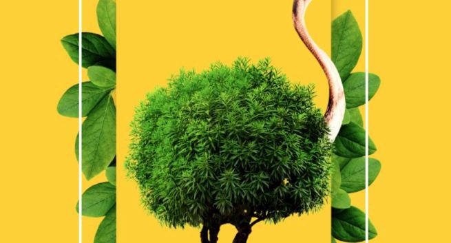 Onet rusza z Narodowym Testem Ekologicznym Polaków