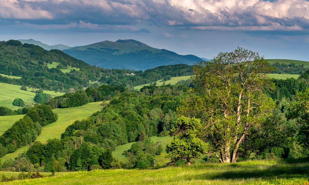 Przełęcz Wyżna