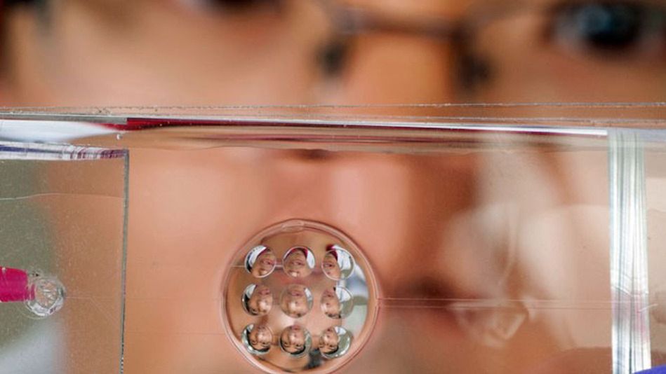 Naukowcy opracowali soczewkę działającą jak ludzkie oko. Co to oznacza dla nas? 1