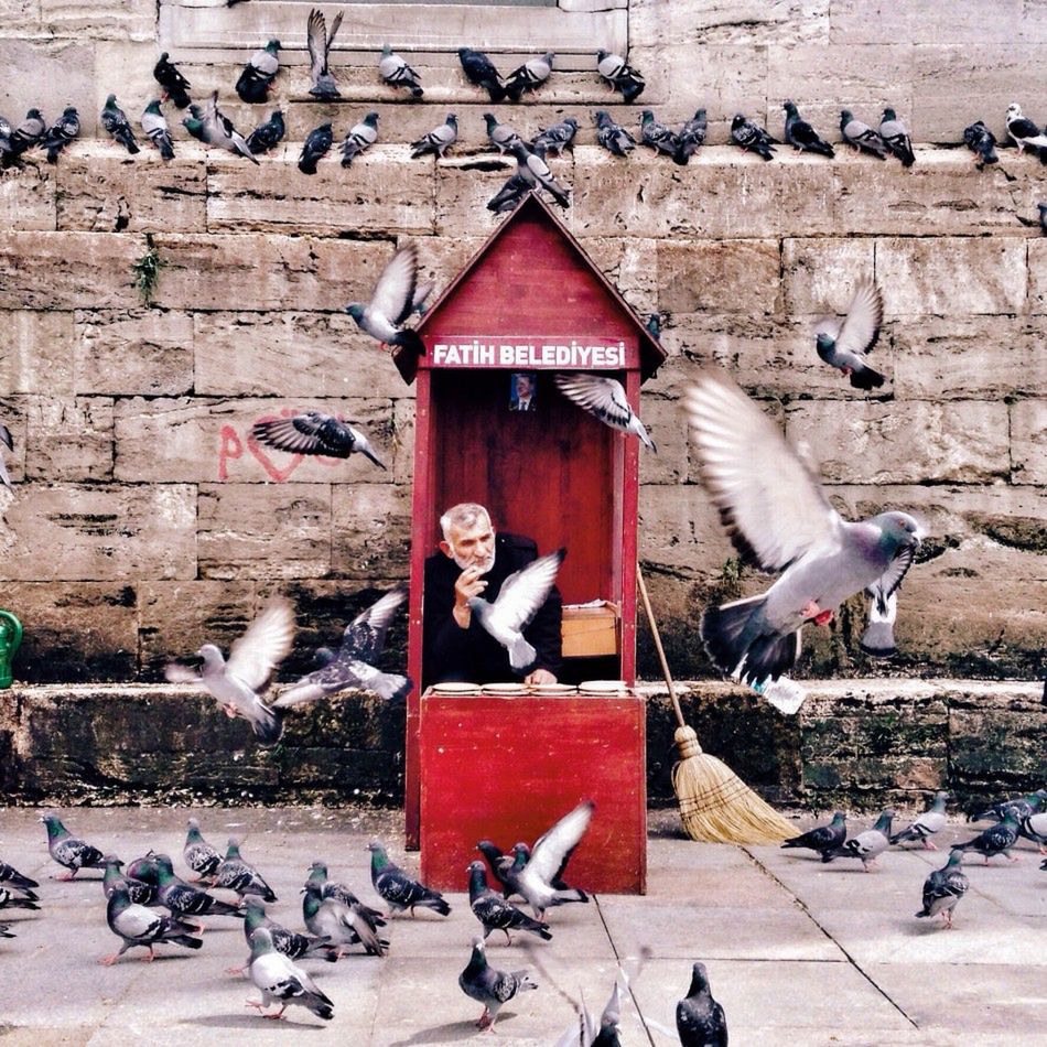 Inspirujące konkursy fotografii mobilnej, które warto znać 14