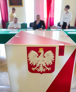 Czy referendum w Polsce jest wiążące? Konstytucja wskazuje jasno