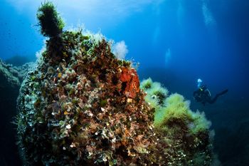 Mówią o podwodnej górę. Jest wyższa niż Rysy