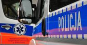 Krosno Odrzańskie: Śmiertelny atak psa. Są zarzuty dla właściciela
