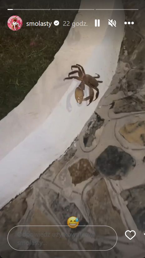 Kadr z wakacyjnego wypadu Smolastego i Nicole 