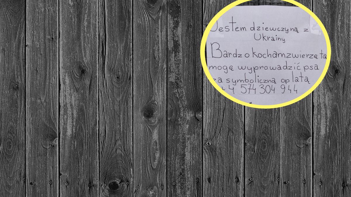 Ogłoszenie małej Ukrainki