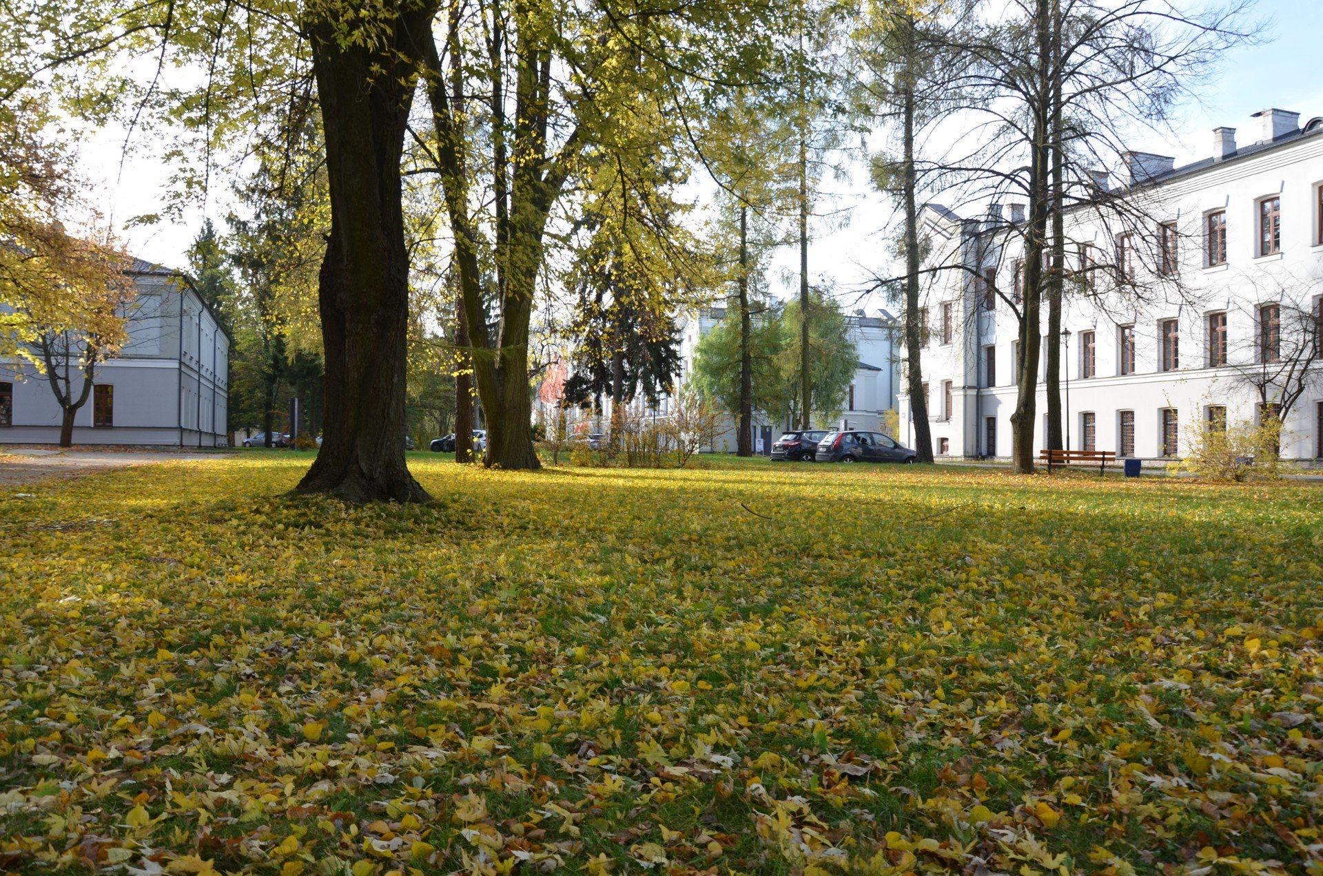 Jesień na kampusie Akademii Nauk Stosowanych Stefana Batorego w Skierniewicach