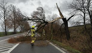 Wichury szaleją. Strażacy nie nadążają z usuwaniem skutków