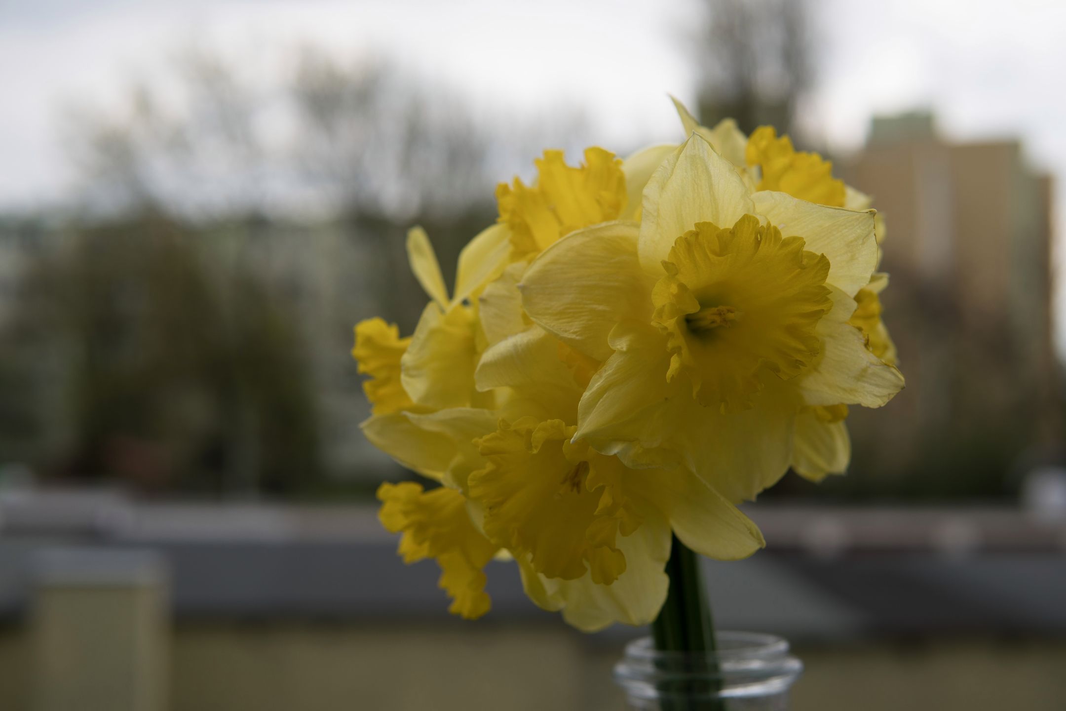 Sigma 30 mm f/1.4 DC DN - recenzja jasnego obiektywu stworzonego z myślą o bezlusterkowcach 25