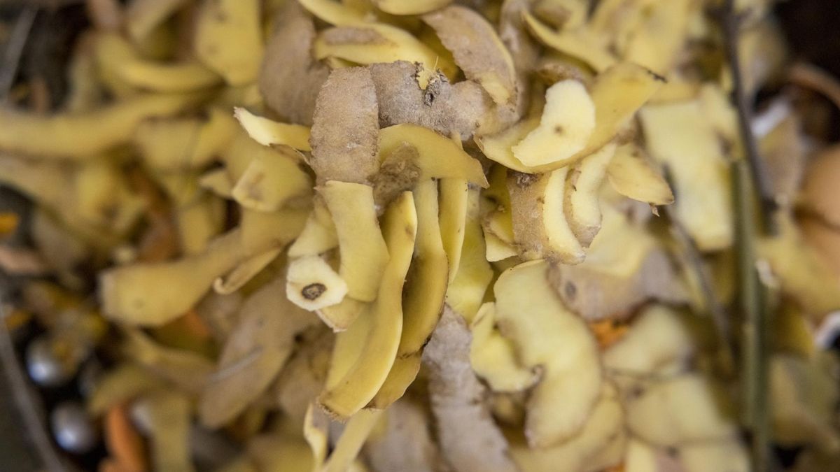 Właściwości tego soku są niesamowite. W przyszłości może stać się lekiem na raka i choroby jelit