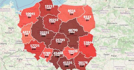 Koronawirus w Polsce. Kolejny rekord na mapie zakażeń [30.10.2020]