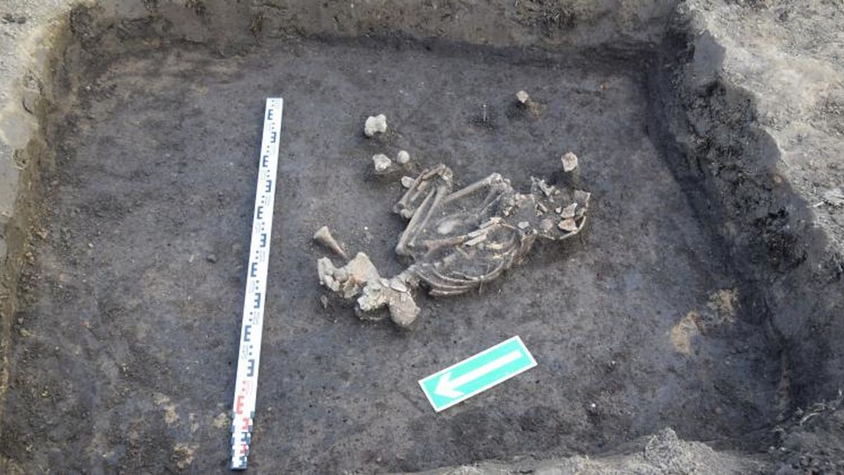 Zdjęcie dnia. Rolnik przypadkiem natrafił na groby sprzed 4000 lat 1