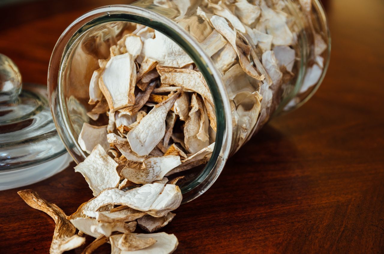 Dried porcini mushrooms