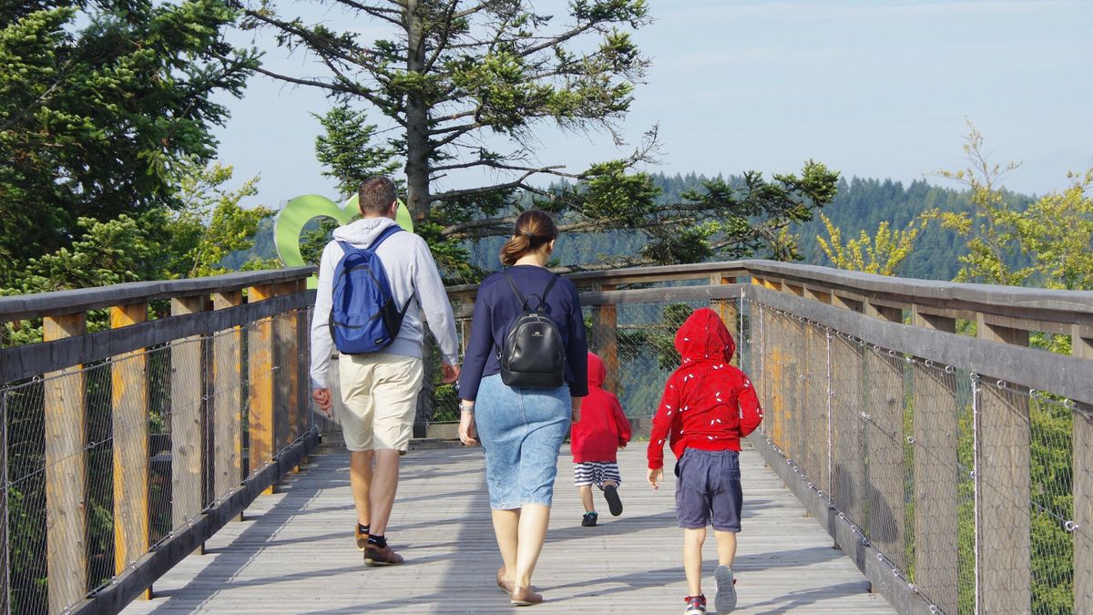 Ma?opolska Marek Bazak
Fot. Zofia i Marek Bazak/East News,
Wojewodztwo malopolskie, Krynica Zdroj - Slotwiny, Stok Glowny Slotwiny Arena. N/z sciezka w koronie drzew prowadzaca na turystyczna wieze widokowa na szczycie stacji narciarskiej Slotwiny Arena - rodzina z malymi dziecmi na wycieczce.
ZOFIA BAZAK