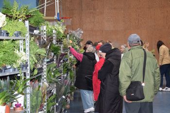 Piła: Trwa Festiwal Roślin. Jest nie tylko zielono. Jest kolorowo