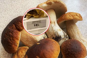 1800 zł za 1 kg. Przesada? Taką cenę zobaczył na lotnisku