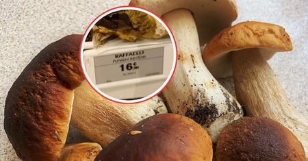 1800 zł za 1 kg. Przesada? Taką cenę zobaczył na lotnisku