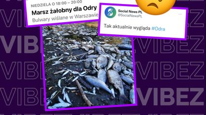 Marsz Żałobny dla Odry: "Jesteśmy wściekli"