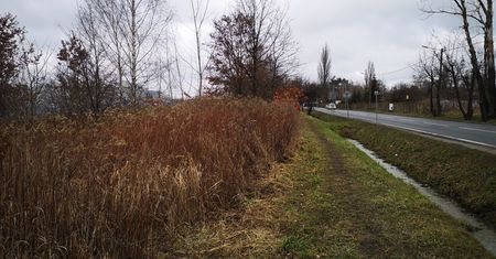 Wrocław. Niech stanie się jasność. Powstaną chodniki i latarnie przy zakładach 3M