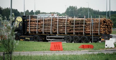 Ceny opału. Oto ile kosztuje metr drewna