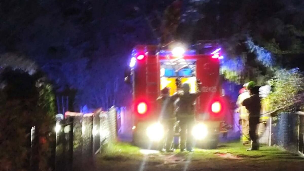Interwencja strażaków do pożaru domku letniskowego przy ul. Osmolickiej w Lublinie