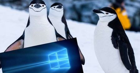 Canonical poszukuje speców od Windowsa i WSL. Ubuntu ma zdominować tę warstwę