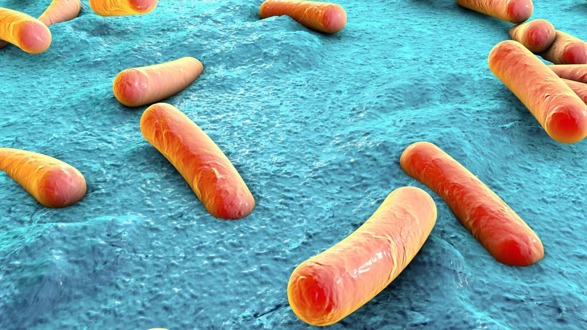 Bakterie E. coli w Niemczech