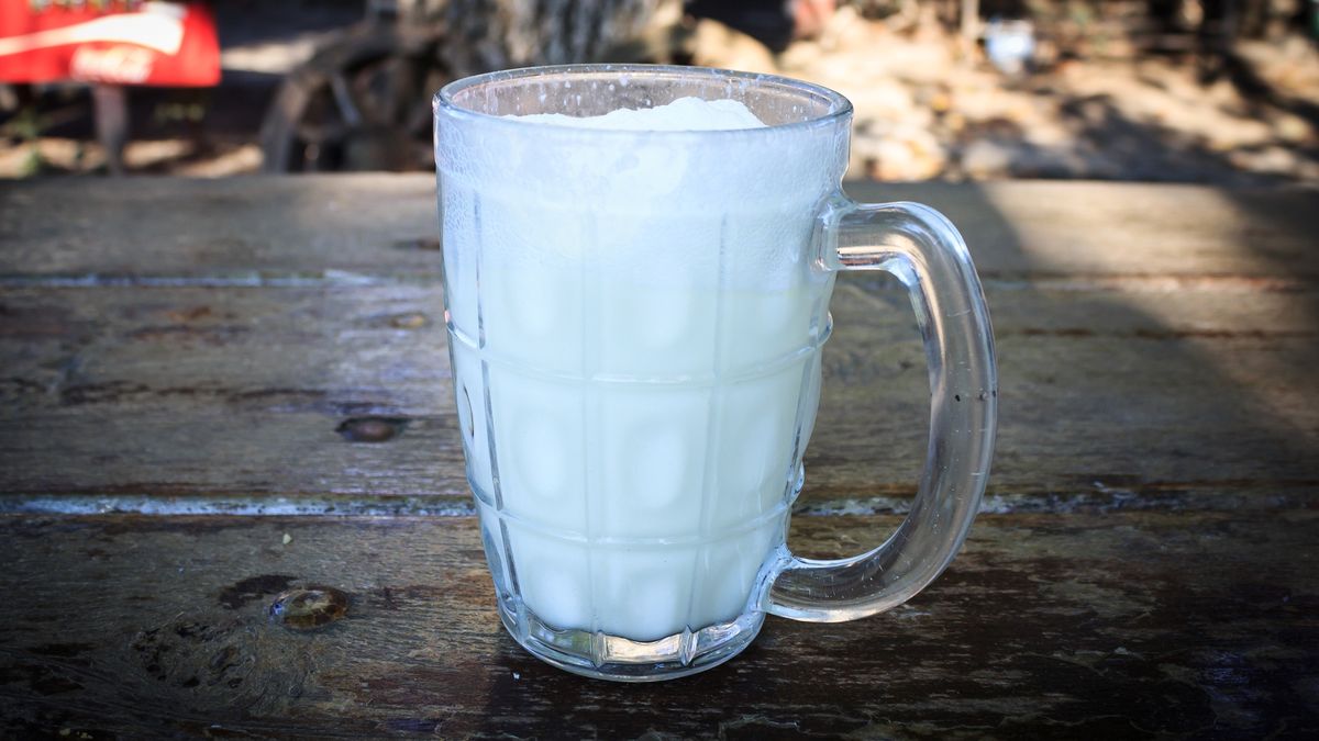 Dlaczego warto pić maślankę?