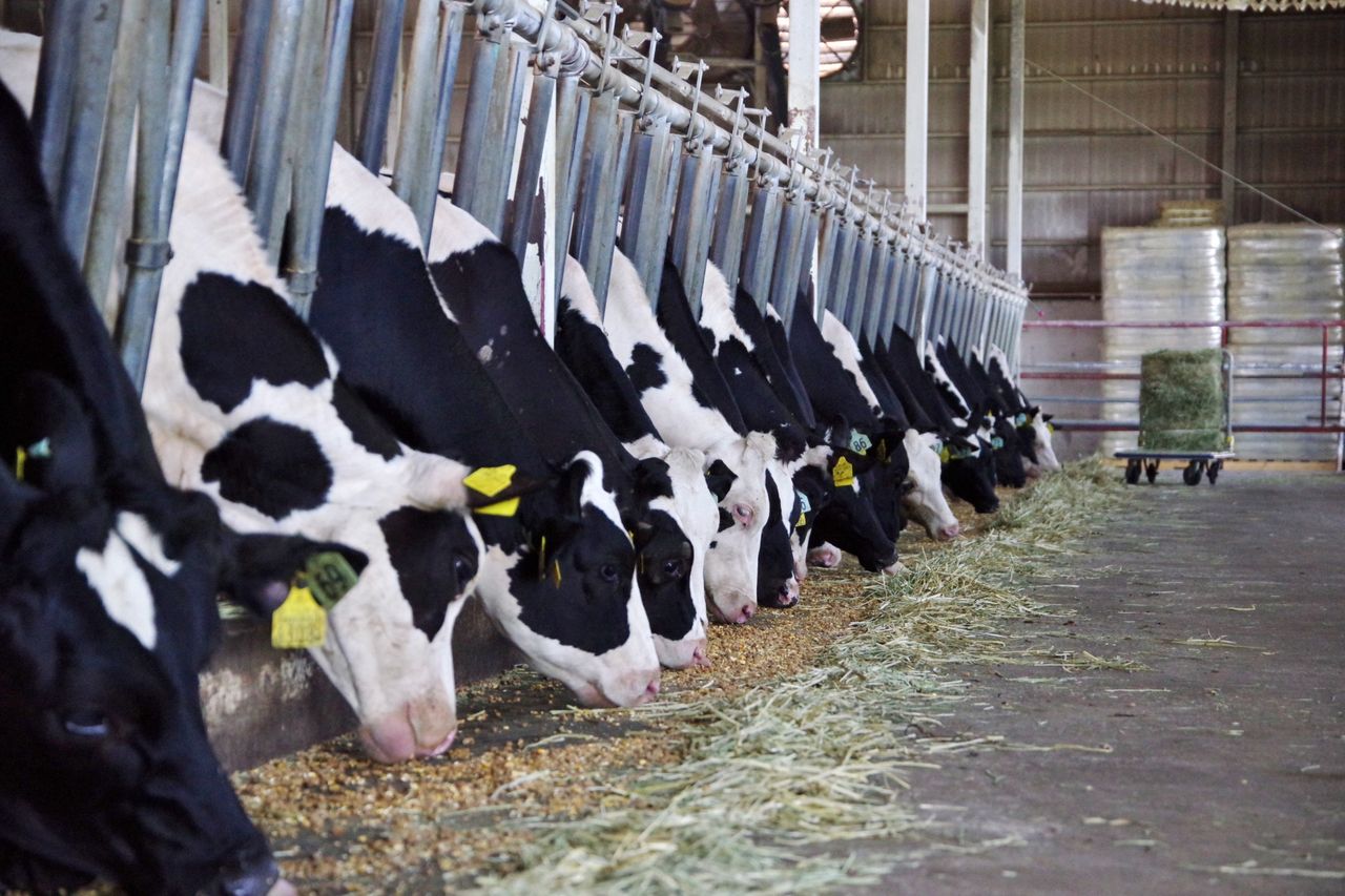 Nawet 65 proc. dopłaty do ubezpieczeń. Nabór wniosków wystartuje niebawem