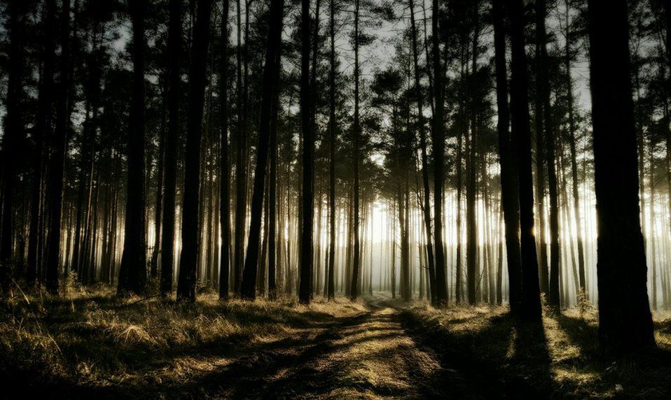 Inspirujące konkursy fotografii mobilnej, które warto znać 31