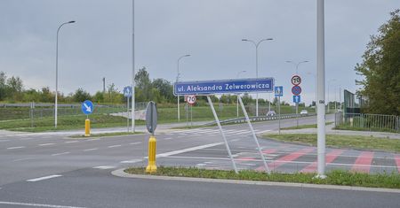 Miasto zamawia projekt nowego cmentarza na Sławinie. Park-nekropolia wystarczy na około 55 lat
