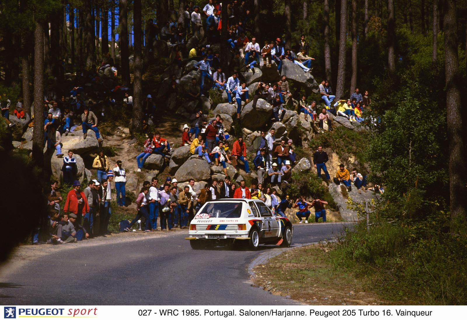Peugeot 205 turbo 16 grupy B