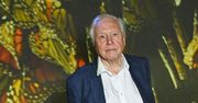 David Attenboroug skończył 97 lat. Już od dawna unika tego produktu