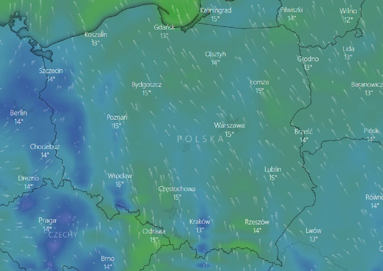 Pogoda w Polsce. IMGW ostrzega przed mgłami i silnym wiatrem