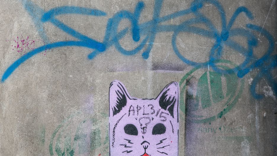 Graffiti "Sicoer-a" na jedenj ze ścian