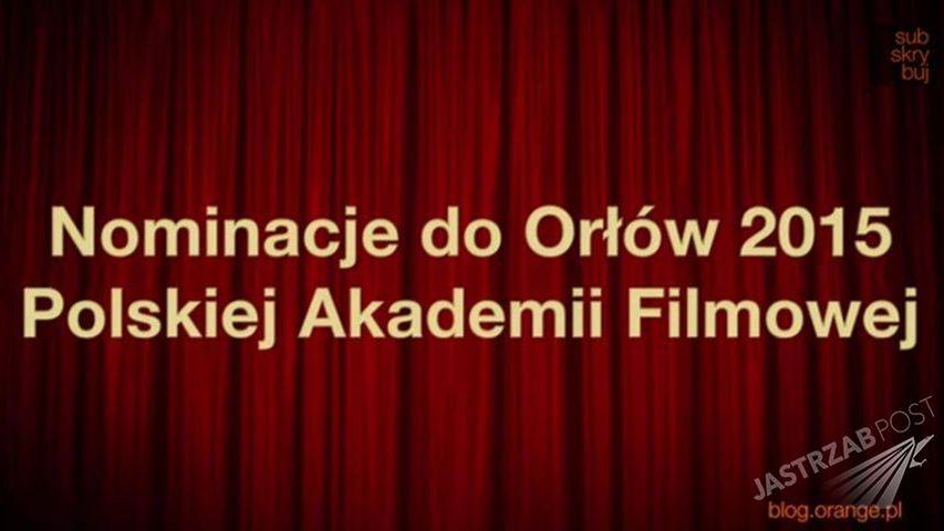 ikona, Orły 2015
Fotografia: YouTube