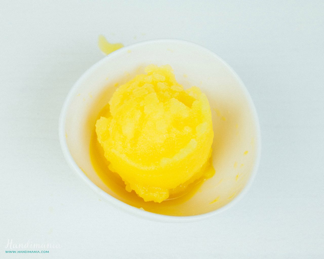 Homemade 5 Minutes Sorbet