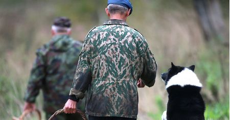 Nowe doniesienia o "mafiach grzybiarzy". Rumuni nie przerywają najazdu na polskie lasy