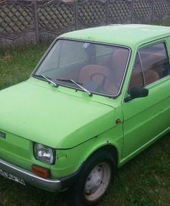 Nietypowy maluch na aukcji. Do kupienia prawdziwa perełka