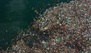 Plama plastiku na Pacyfiku gwałtownie rośnie. Badania są niepokojące