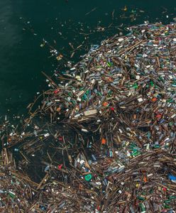 Plama plastiku na Pacyfiku gwałtownie rośnie. Badania są niepokojące