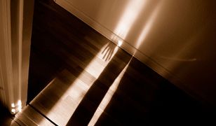 Skandal w Toruniu. Dom dziecka podał dane 8-latki pedofilowi