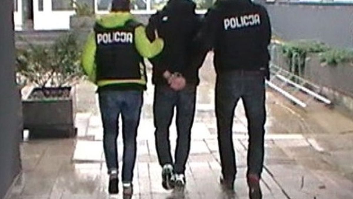 policja