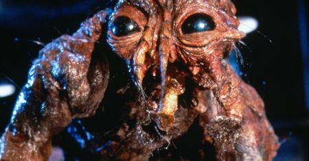 Znasz się na horrorach? To dopasuj potwora do filmu