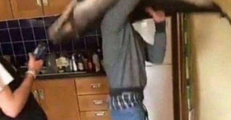 Imprezowali z martwym delfinem. Wybuchł skandal