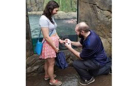 Mistrzyni drugiego planu. Hipopotamica z zoo w Cincinnati uświetniła zdjęcia zaręczynowe
