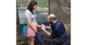 Mistrzyni drugiego planu. Hipopotamica z zoo w Cincinnati uświetniła zdjęcia zaręczynowe