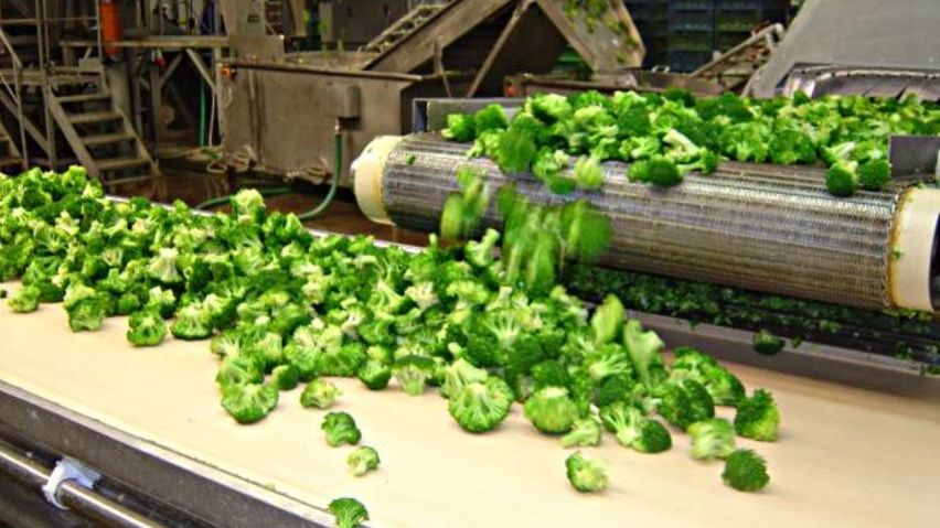 Eskimos jest producentem mrożonych owoców i warzyw 